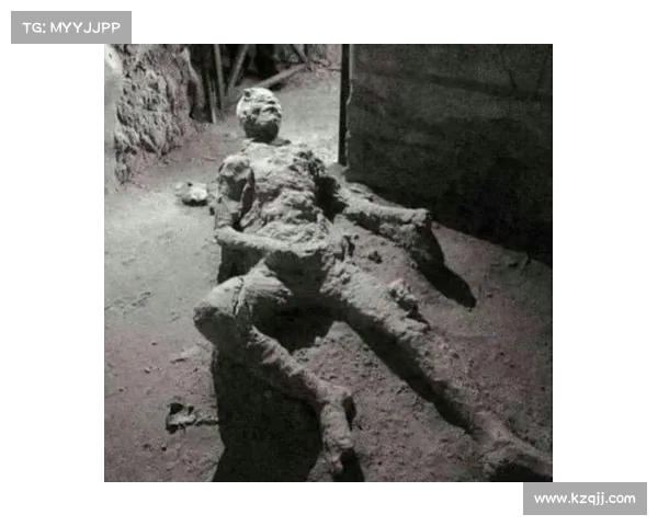 巴舒亚伊的独特语言密码揭秘 你不知道的背后故事与真相